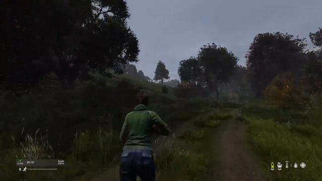 DayZ (PS4) | Playthrough Stream #2 | #LBOneOfKind смотреть онлайн