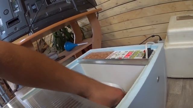 Ночной сюрприз Тестирование Блиц 72 смотреть онлайн
