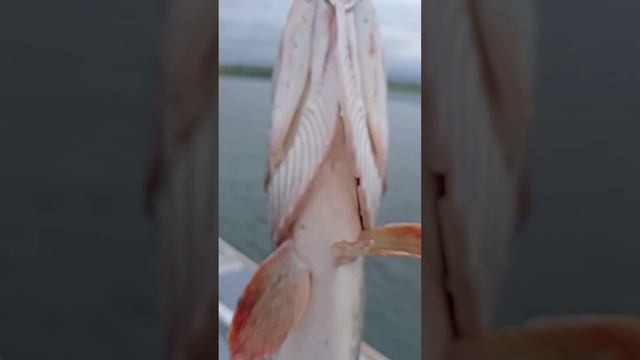 Щука на блесну по траве из моего вчерашнего видео. Pike on a spinner on the grass from my yester смотреть онлайн