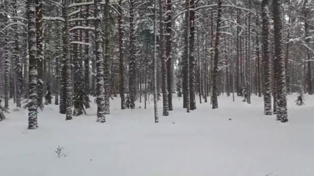 Рыбалка..и не только смотреть онлайн