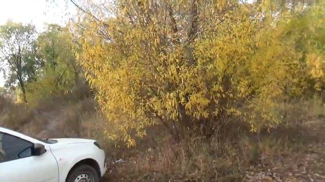 Странный ? с возвратным эффектом/Куда пропала?/Это не ?, бро?/Спасибо за поддержку