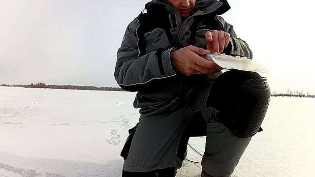 Зачетный судак! Злая поклевка. Рыбалка в Каракулино. смотреть онлайн