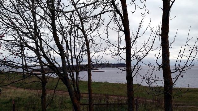 Талабские острова. В гости к Николаю Гурьянову. смотреть онлайн