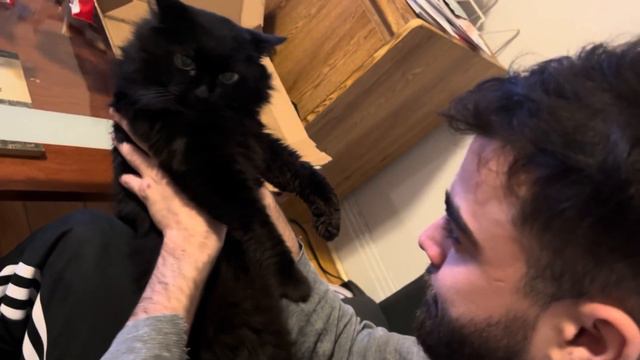 ПЕРЕЕХАЛА В КАНАДУ 🇨🇦/ полет в Монреаль/ Вижу брата впервые/ Канадский холод/ Колледж в Канаде смотреть онлайн