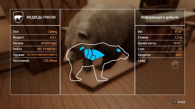 Hunting Simulator 2 все трофеи в игре смотреть онлайн
