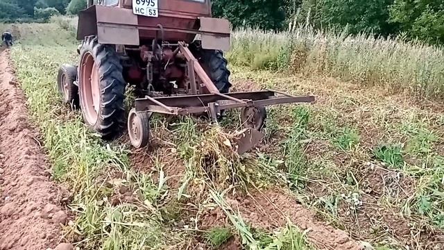Уборка картофеля, начало сезона, трактор Т-25 смотреть онлайн