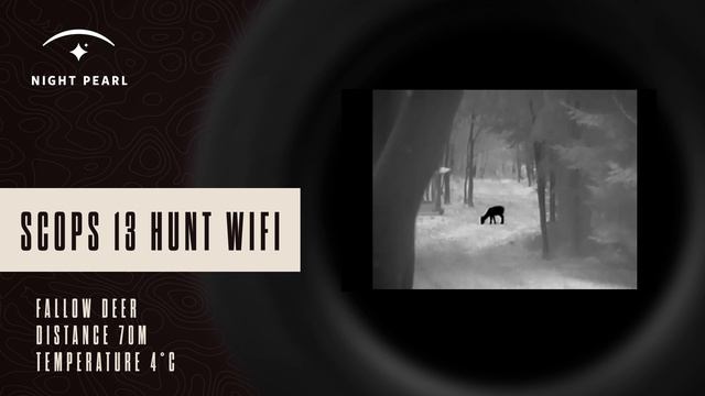 Night Pearl SCOPS 13 HUNT / -//- WI-FI - REAL VISION VIDEO смотреть онлайн