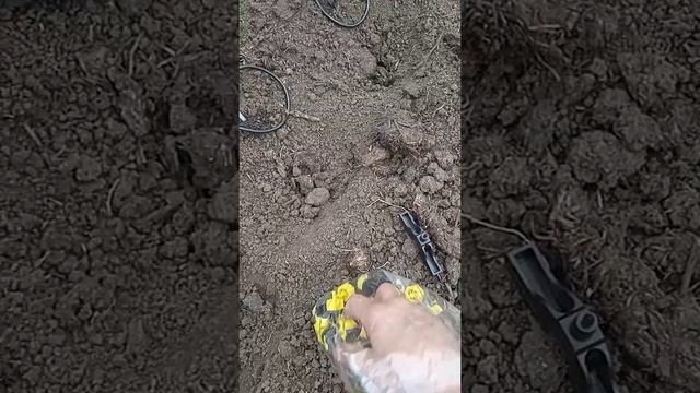 капельный полив в теплице из бочки просто. смотреть онлайн