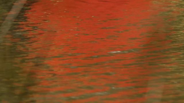 Mind-Blowing Facts About Our Reality [4K] | The Secrets of Quantum Physics | Spark смотреть онлайн