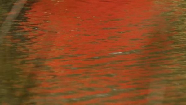 Mind-Blowing Facts About Our Reality [4K] | The Secrets of Quantum Physics | Spark