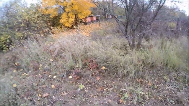 Jesienne nasadzenia. Maliny i truskawka. Jak Fachowo tego nie zepsuć?cz.1 смотреть онлайн