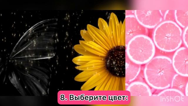 КАКОЕ ЖИВОТНОЕ БЕРЕЖЁТ ВАС? персональный тест смотреть онлайн