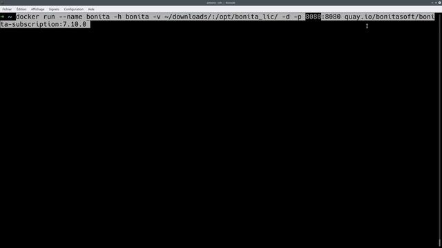 Bonita 7.10 : image Docker édition entreprise смотреть онлайн