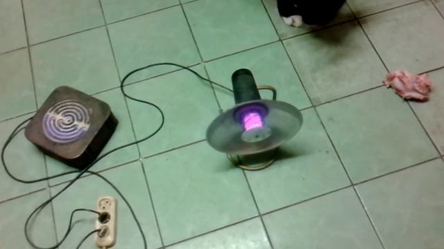 Шериза (11 мес.метис алабая) Немного о питании... смотреть онлайн