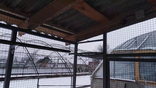 Новая Голубятня 2022. г.