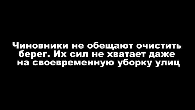 Городские свиньи смотреть онлайн