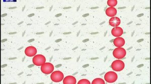 Азбука Малышка. Тетушка Сова. буква Б