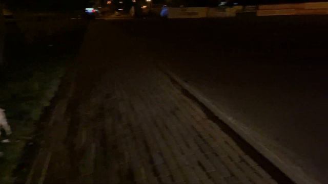 Французский бульдог на ночной прогулке смотреть онлайн