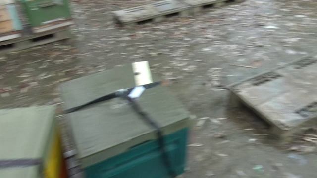 Медведи тоже любят тепло смотреть онлайн