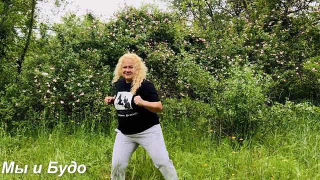 2 и 3 классы урок 6 Боевые искусства и ЛФК смотреть онлайн