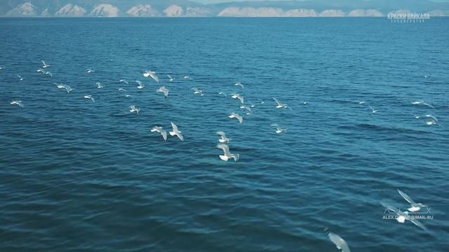 Baikal 4K HDR