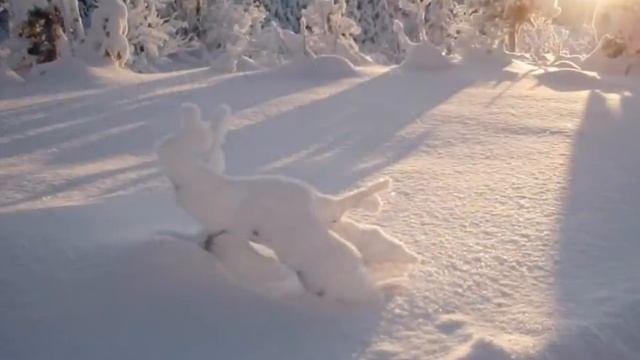 Ведическая мантра о защите – ученики Джагад-гуру Сиддхасварупананда Парамахамса (Крис Батлер) смотреть онлайн