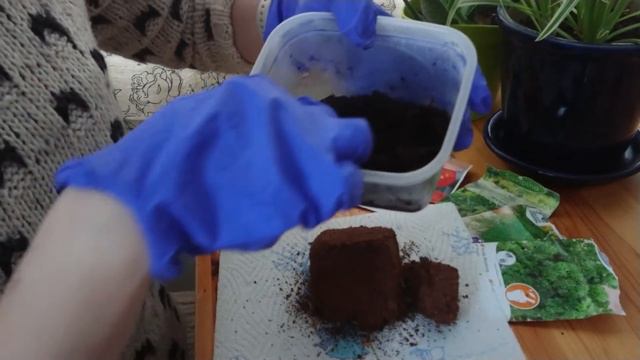 Фінляндія🌴Кокосовий субстрат БЕЗ ПАТОГЕНІВ для вирощування розсади. смотреть онлайн