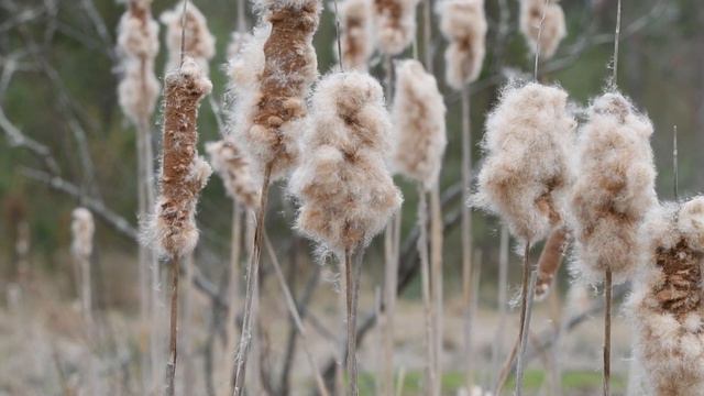 История из жизни: любовь с первого взгляда существует! смотреть онлайн