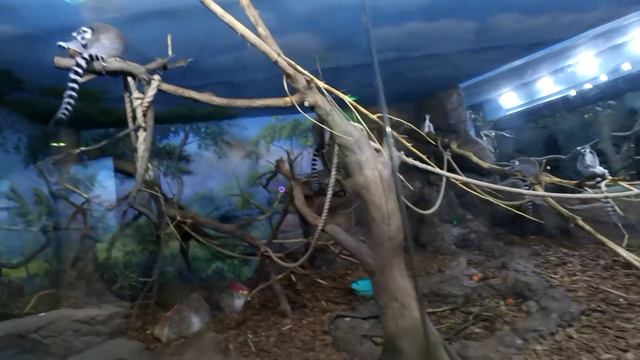 Океанариум вторая серия: реки и озера, джунгли смотреть онлайн