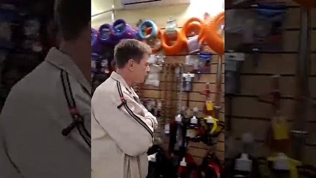 Как надевать строгий ошейник.8471 смотреть онлайн