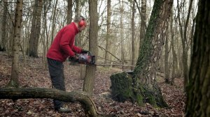 Обзор бензопилы FUBAG FPS 46