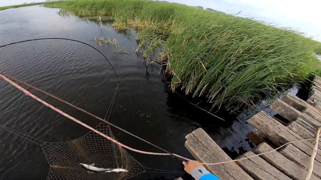 Рыбалка 2019 ЁКЛМН Рыбалка на паук Рыбалка на судака Рыбалка на подъемник Приколы на рыбалке смотреть онлайн