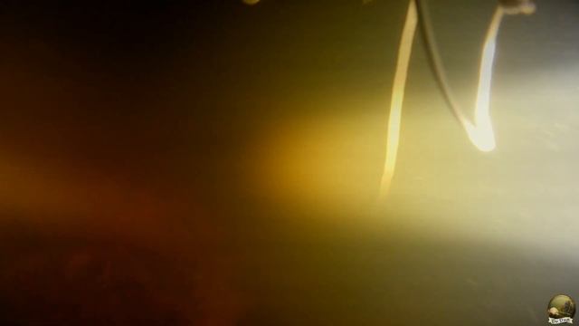 Подводная охота и косой охотник;))). Октябрь.#7 смотреть онлайн