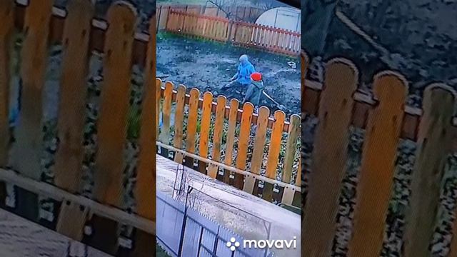 вот это встряли братишке нужно помогать смотреть онлайн