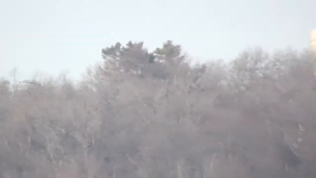 Panasonic HC-v110 70× Optikai zoom 720p HD смотреть онлайн