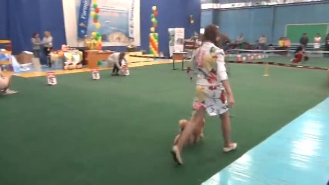 04.06.2017 Моно Иркутск АГАТИС ЦВЕТОЧНОЕ ВДОХНОВЕНИЕ смотреть онлайн