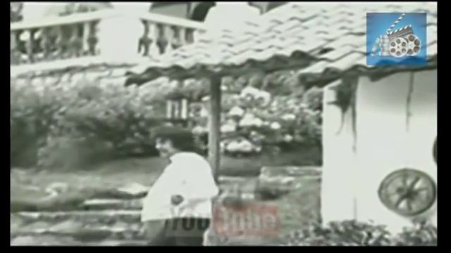 Daniel Magal - Cara De Gitana (Video Clip 1978) смотреть онлайн