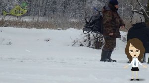 Дед рассказал как 100% прикормить щуку зимой к лунке! Как и чем прикормить щуку зимой?