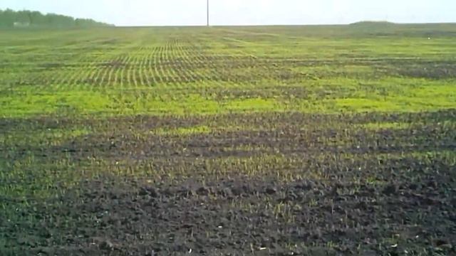 20 мая.Едим на край поля на стоянку. смотреть онлайн