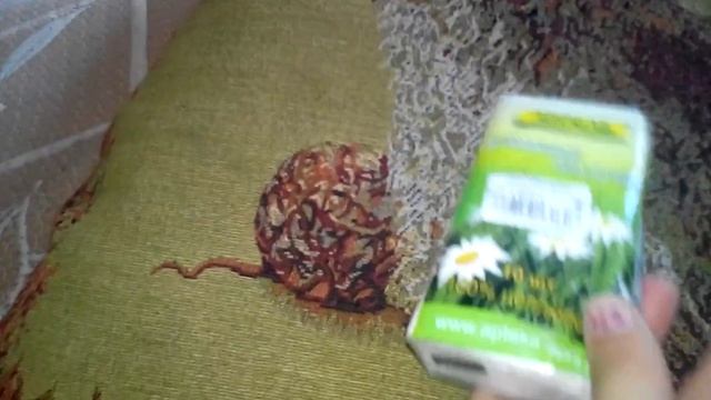 Что взять с собой в санаторий 2 часть смотреть онлайн