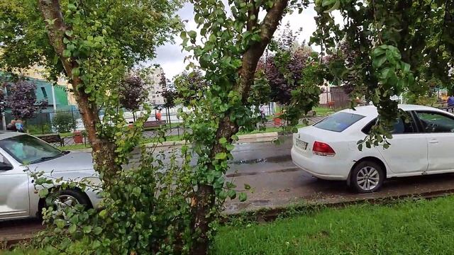 Может перестать ухаживать за плодовыми деревьями? ? смотреть онлайн