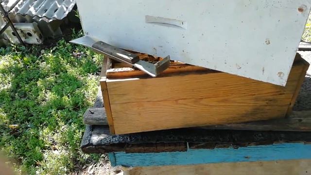 Бакфаст. Итоги. смотреть онлайн