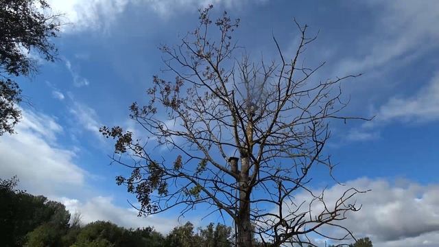 ПРЫГНУЛ В ВОДУ ЗА ФОРЕЛЬЮ !!! РЫБАЛКА В ЛЕНИНГРАДСКОЙ ОБЛАСТИ #3 смотреть онлайн