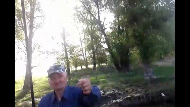 Крокодил как фидер Эксперимент смотреть онлайн