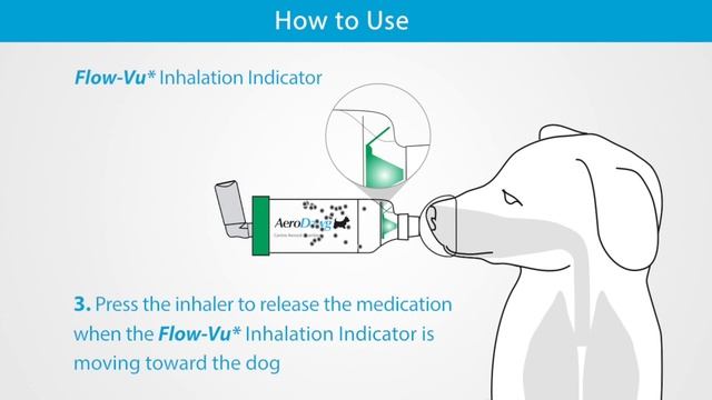 AeroDawg* Canine Aerosol Chamber