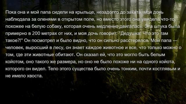 НЕРЕАЛЬНО ЖУТКИЕ ИСТОРИИ С РЕДДИТА #23 смотреть онлайн