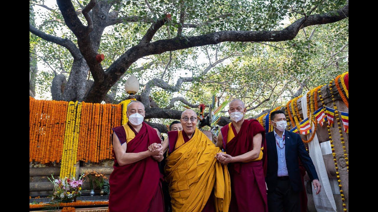 Далай-лама. Паломничество к ступе Махабодхи смотреть онлайн