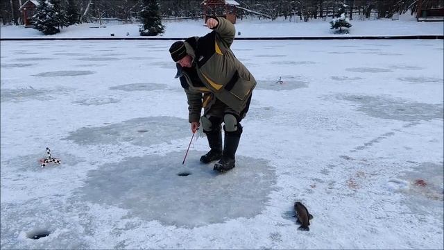 Поимки форели после запуска. Рыбалка со льда. Основные водоёмы. Клёвое место Лосиный остров. смотреть онлайн