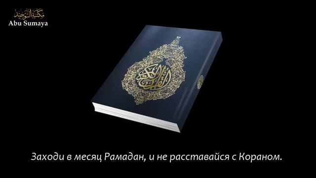 Коран твой спутник в Рамадан / Шейх Мухаммад Мухтар аш-Шанкыти смотреть онлайн