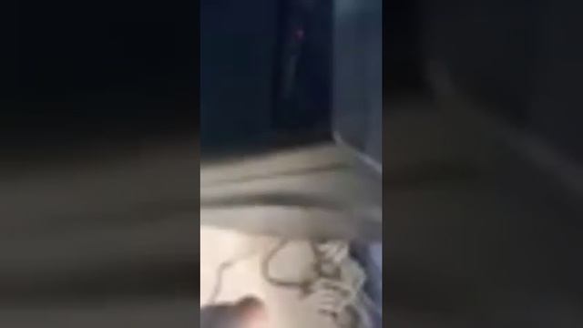 как правильно включать компьютер ( видео без вирусов и смс и регистрации) смотреть онлайн